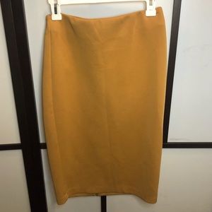 Golden Tan Skirt